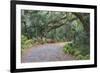 Florida. Road Through Old Trees and Vegetation-Jaynes Gallery-Framed Photographic Print