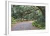 Florida. Road Through Old Trees and Vegetation-Jaynes Gallery-Framed Photographic Print