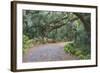 Florida. Road Through Old Trees and Vegetation-Jaynes Gallery-Framed Photographic Print