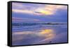 Florida, Sarasota, Crescent Beach, Siesta Key, Sunset over Ocean-Bernard Friel-Framed Stretched Canvas