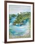 Florida Scene-Julie DeRice-Framed Art Print