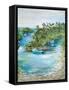 Florida Scene-Julie DeRice-Framed Stretched Canvas