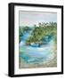 Florida Scene-Julie DeRice-Framed Art Print