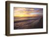 Florida Scenic-null-Framed Photographic Print