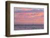 Florida Scenic-Lynn M^ Stone-Framed Photographic Print