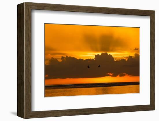 Florida Scenic-Lynn M^ Stone-Framed Photographic Print