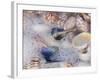 Florida Shells in Surf-Lynn M^ Stone-Framed Photographic Print