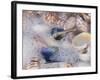 Florida Shells in Surf-Lynn M^ Stone-Framed Photographic Print