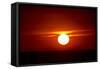 Florida, Siesta Key, Crescent Beach, Ball of Fire in a Red Sunset-Bernard Friel-Framed Stretched Canvas