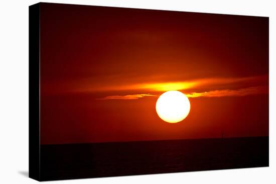 Florida, Siesta Key, Crescent Beach, Ball of Fire in a Red Sunset-Bernard Friel-Stretched Canvas