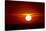 Florida, Siesta Key, Crescent Beach, Ball of Fire in a Red Sunset-Bernard Friel-Stretched Canvas