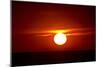 Florida, Siesta Key, Crescent Beach, Ball of Fire in a Red Sunset-Bernard Friel-Mounted Photographic Print