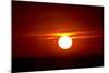 Florida, Siesta Key, Crescent Beach, Ball of Fire in a Red Sunset-Bernard Friel-Mounted Photographic Print