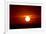 Florida, Siesta Key, Crescent Beach, Ball of Fire in a Red Sunset-Bernard Friel-Framed Photographic Print
