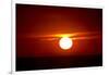 Florida, Siesta Key, Crescent Beach, Ball of Fire in a Red Sunset-Bernard Friel-Framed Photographic Print