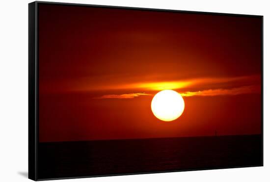 Florida, Siesta Key, Crescent Beach, Ball of Fire in a Red Sunset-Bernard Friel-Framed Stretched Canvas