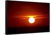 Florida, Siesta Key, Crescent Beach, Ball of Fire in a Red Sunset-Bernard Friel-Framed Stretched Canvas