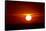 Florida, Siesta Key, Crescent Beach, Ball of Fire in a Red Sunset-Bernard Friel-Framed Stretched Canvas