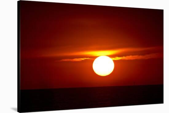 Florida, Siesta Key, Crescent Beach, Ball of Fire in a Red Sunset-Bernard Friel-Stretched Canvas