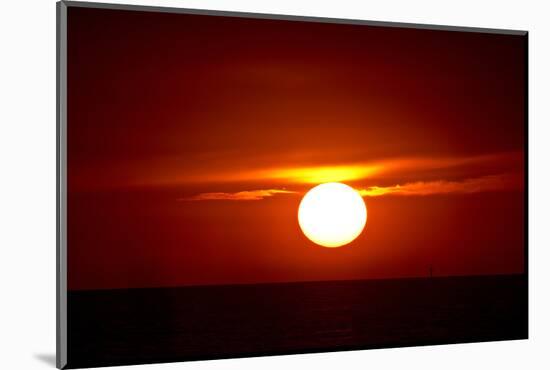 Florida, Siesta Key, Crescent Beach, Ball of Fire in a Red Sunset-Bernard Friel-Mounted Photographic Print