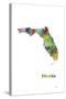 Florida State Map 1-Marlene Watson-Stretched Canvas