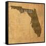 Florida State Words-David Bowman-Framed Stretched Canvas