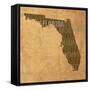 Florida State Words-David Bowman-Framed Stretched Canvas