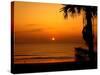 Florida Sunrise-J.D. Mcfarlan-Stretched Canvas