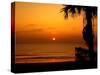 Florida Sunrise-J.D. Mcfarlan-Stretched Canvas