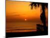 Florida Sunrise-J.D. Mcfarlan-Mounted Photographic Print