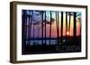 Florida - Sunset and Silhouette-Lantern Press-Framed Art Print