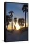 Florida Sunset,  Clearwater Beach, Florida-George Oze-Framed Stretched Canvas
