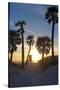 Florida Sunset,  Clearwater Beach, Florida-George Oze-Stretched Canvas