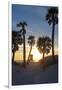 Florida Sunset,  Clearwater Beach, Florida-George Oze-Framed Photographic Print