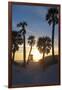 Florida Sunset,  Clearwater Beach, Florida-George Oze-Framed Photographic Print