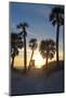 Florida Sunset,  Clearwater Beach, Florida-George Oze-Mounted Photographic Print