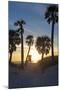 Florida Sunset,  Clearwater Beach, Florida-George Oze-Mounted Premium Photographic Print