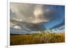 Florida. Sunset on Red Mangroves in Everglades National Park-Judith Zimmerman-Framed Premium Photographic Print