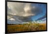 Florida. Sunset on Red Mangroves in Everglades National Park-Judith Zimmerman-Framed Premium Photographic Print