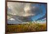 Florida. Sunset on Red Mangroves in Everglades National Park-Judith Zimmerman-Framed Photographic Print