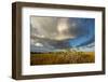 Florida. Sunset on Red Mangroves in Everglades National Park-Judith Zimmerman-Framed Photographic Print