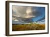 Florida. Sunset on Red Mangroves in Everglades National Park-Judith Zimmerman-Framed Photographic Print