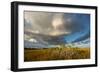 Florida. Sunset on Red Mangroves in Everglades National Park-Judith Zimmerman-Framed Photographic Print