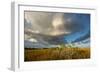 Florida. Sunset on Red Mangroves in Everglades National Park-Judith Zimmerman-Framed Photographic Print