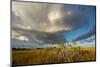 Florida. Sunset on Red Mangroves in Everglades National Park-Judith Zimmerman-Mounted Premium Photographic Print