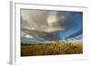 Florida. Sunset on Red Mangroves in Everglades National Park-Judith Zimmerman-Framed Photographic Print