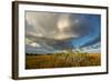 Florida. Sunset on Red Mangroves in Everglades National Park-Judith Zimmerman-Framed Photographic Print