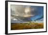 Florida. Sunset on Red Mangroves in Everglades National Park-Judith Zimmerman-Framed Photographic Print