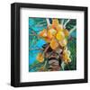 Florida Sunshine-null-Framed Art Print