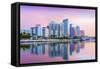 Florida, Tampa, Skyline, Dawn, Hillsborough River-John Coletti-Framed Stretched Canvas